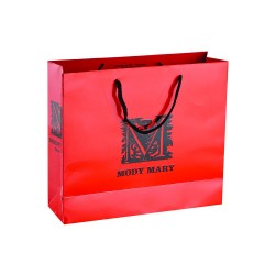 Luxury Rope Handle Printed Paper Bags